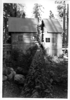 Damage from Wind Thrown Trees 1937. Administrative Collections: Album 9 (Miscellaneous) -Cabin at Mineral and house at Mill Creek both bisected by wind-thrown conifers