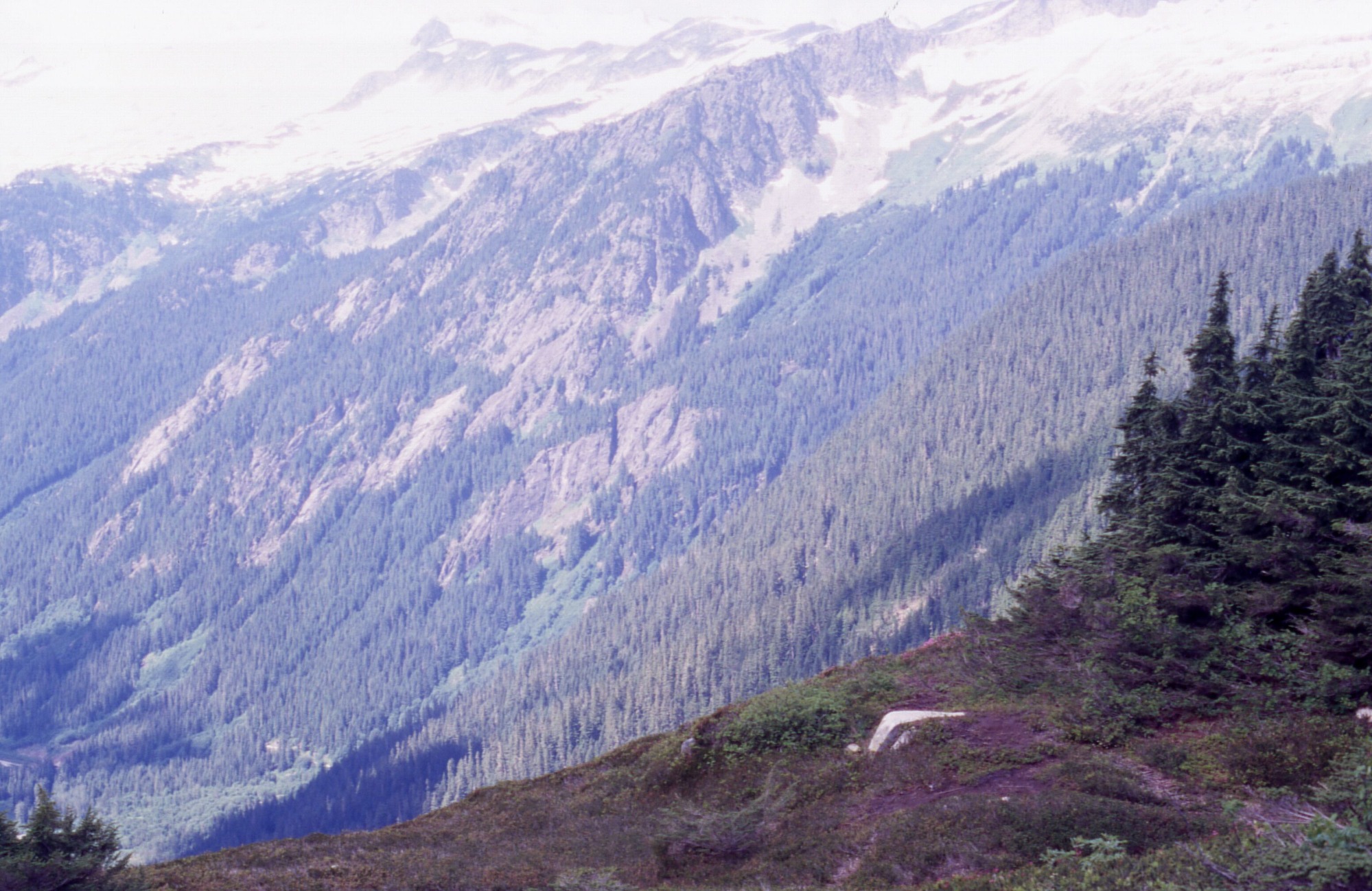 A mountain with a snowy peak and forested sides. In the foreground is a ledge with a patchy clearing.