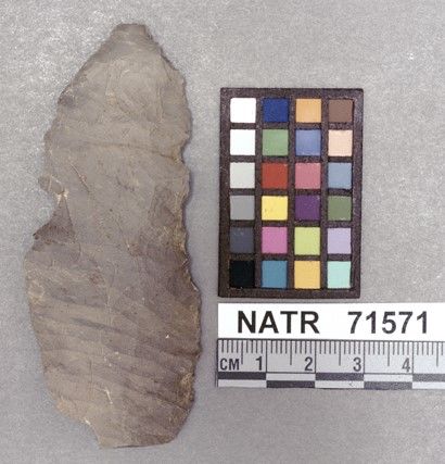 NATR   71571 -- Untyped projectile point