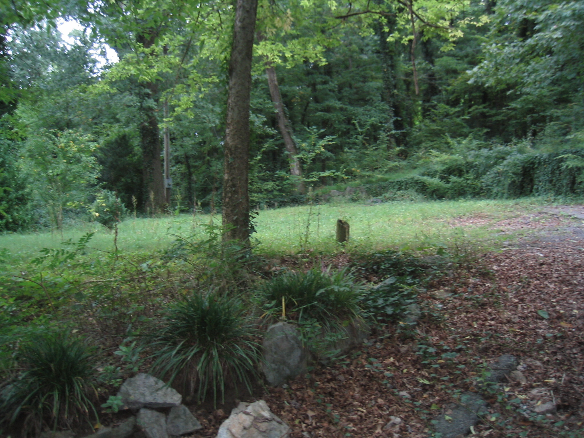 A stone path in a wooded area.