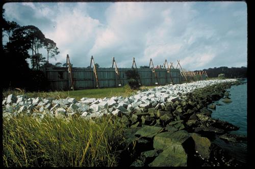 Fort Caroline National Memorial, Florida