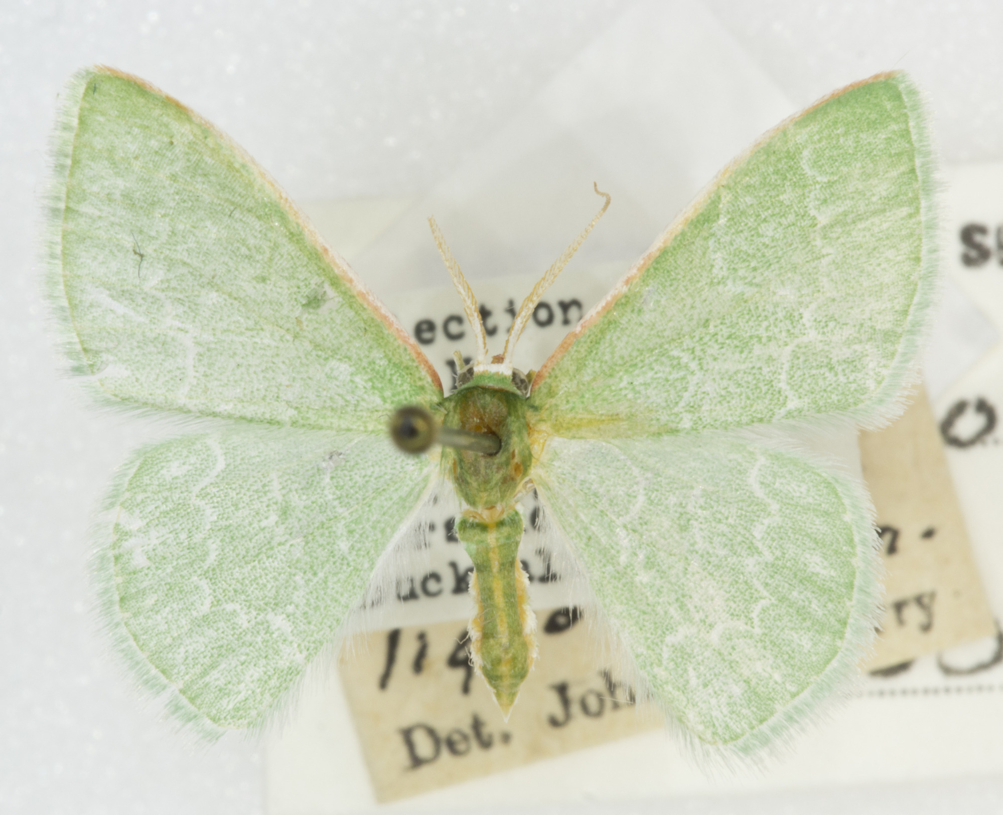 Grand Canyon Museum Collection
Address: 2 Albright Ave, Grand Canyon Village, AZ 86023
Phone: (928) 638-7769
https://www.nps.gov/common/utilities/sendmail/sendemail.cfm?o=6CB7F89AA2FEBAAF91AE1E90DA18A7A1439E528653B8AC914F0CE08011C0&r=/grca/learn/historyculture/muscol.htm