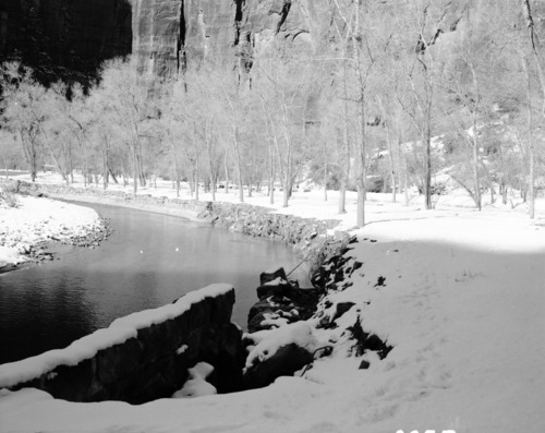 B&W negative of flood damage to Virgin River bank.