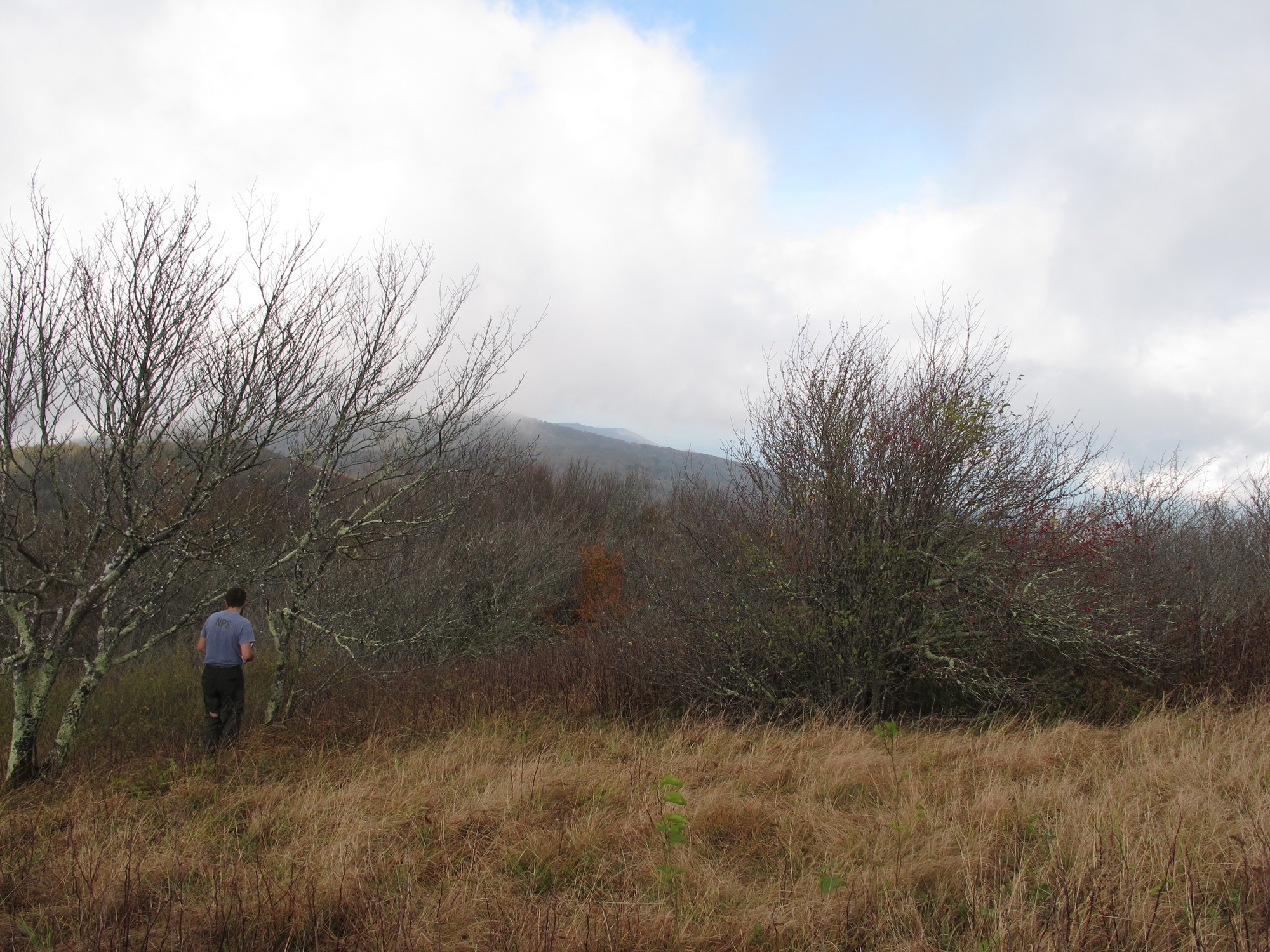 GRSM Accuracy Assessment. Plot Code: GRSM_AA_0015_5