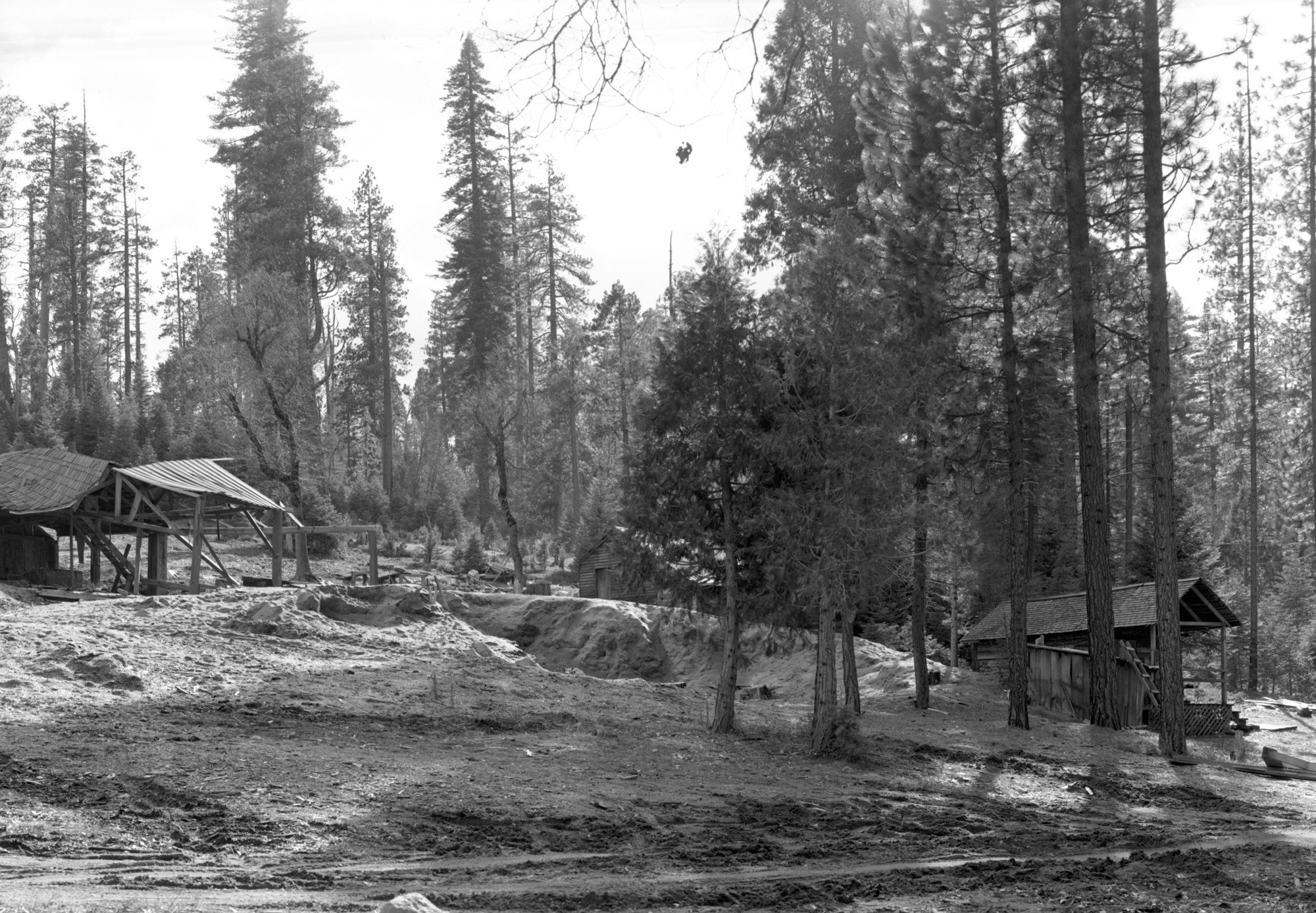 New houses on Section 35 at Wawona.