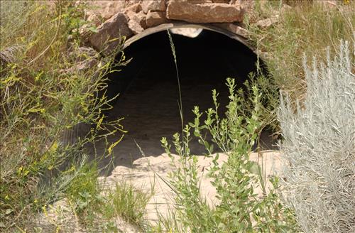 BADL-Conata-Road-Culverts-Drainage-Ditches