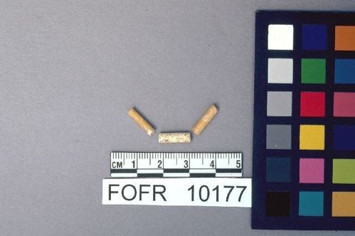 FOFR   10177 -- Bead