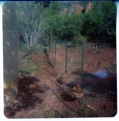 Workers during the construction of the Springdale water pipeline.