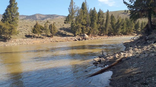 Lamar River near Tower Ranger Station, WY looking upstream on April 24, 2024.