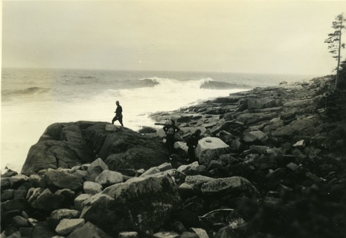 SURF AT SCHOODIC