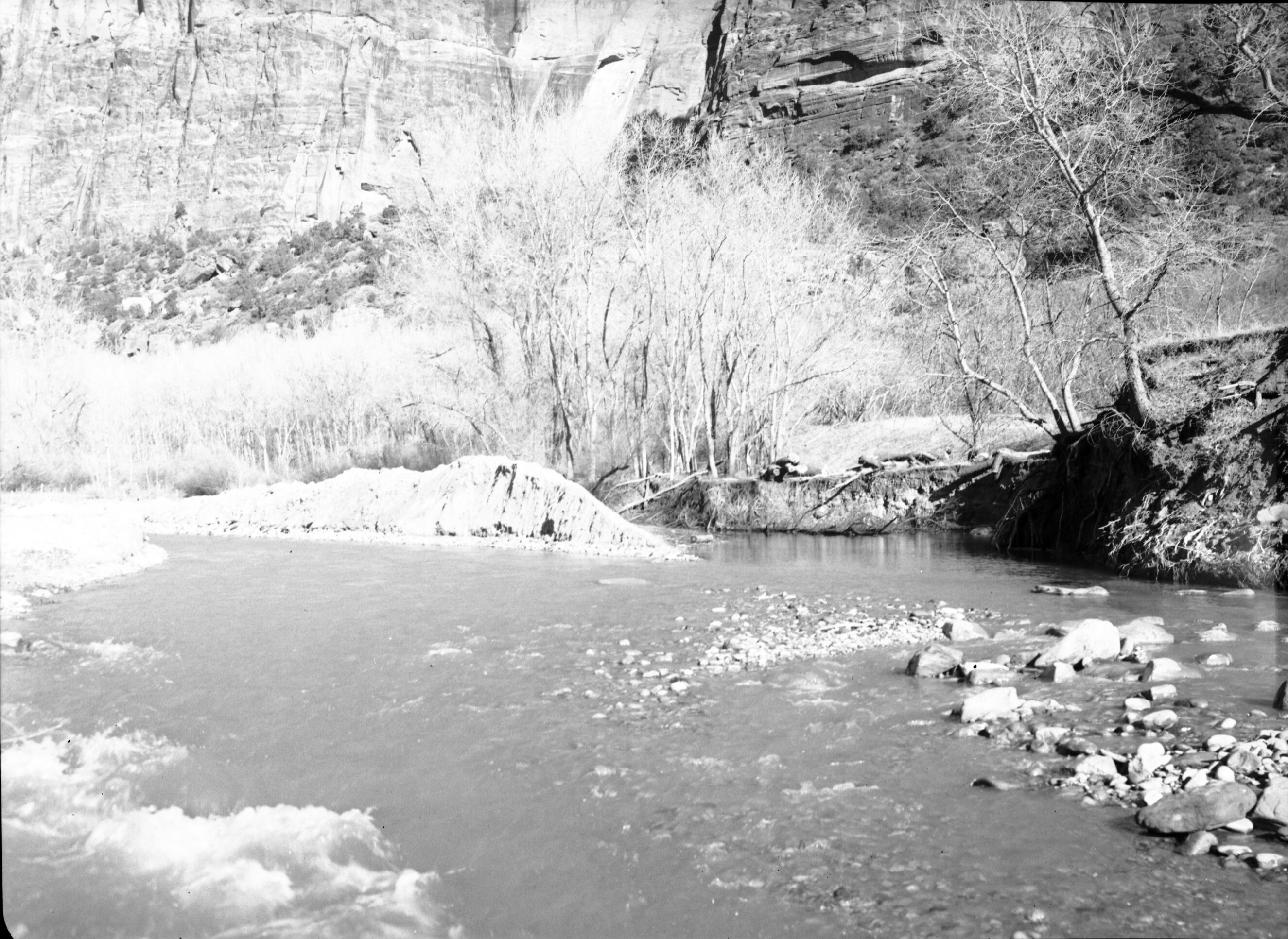 Lower end of diversion of Virgin River to enable crew to place willow spiders for stream bank protection.