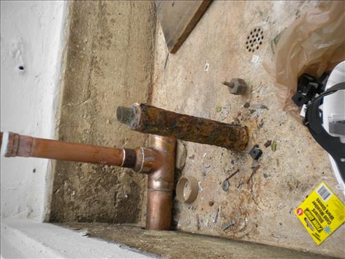 Kenilworth Aquatic Gardens Historic Greenhouse Repair - 50 percent completion December 22, 2010