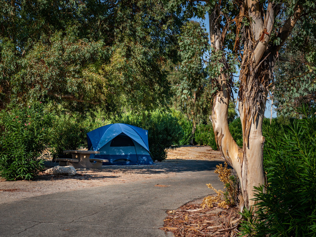 Camp tent on curve of campground road surrounded by large trees