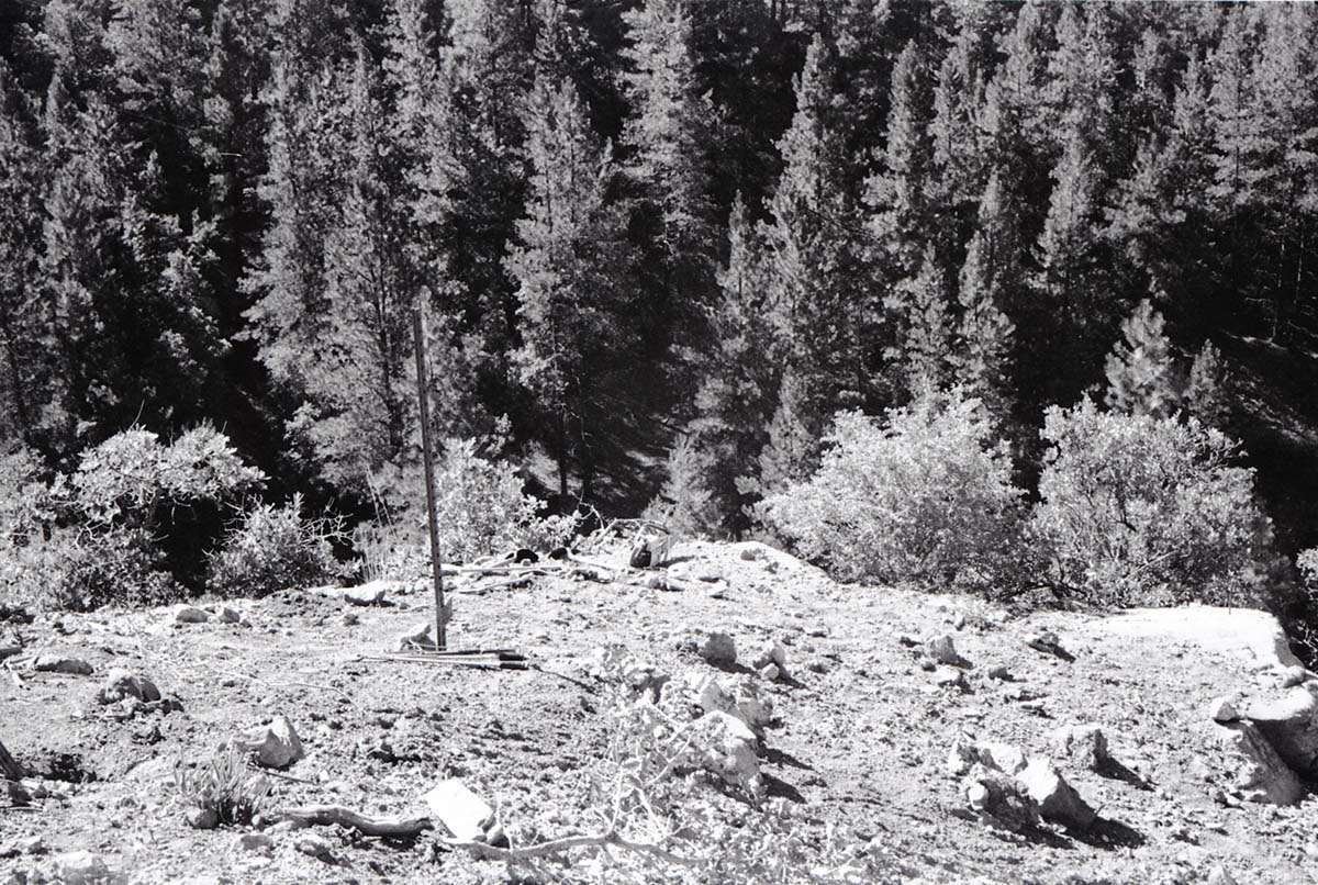 BW photo of the 1937 grazing study 35MM.