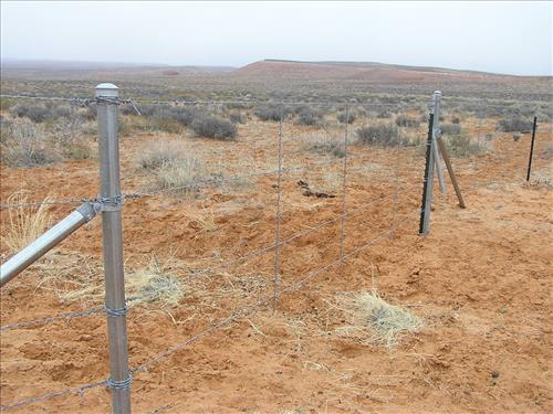 Construction of cattleguard and livestock fence to help enclose the Bullfrog Marina Developed Area (GLCA) in the fall of 2007