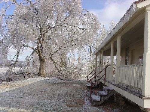 Wilson's Creek National Battlefield Ice Storm, January 2007, Before and During Clean Up