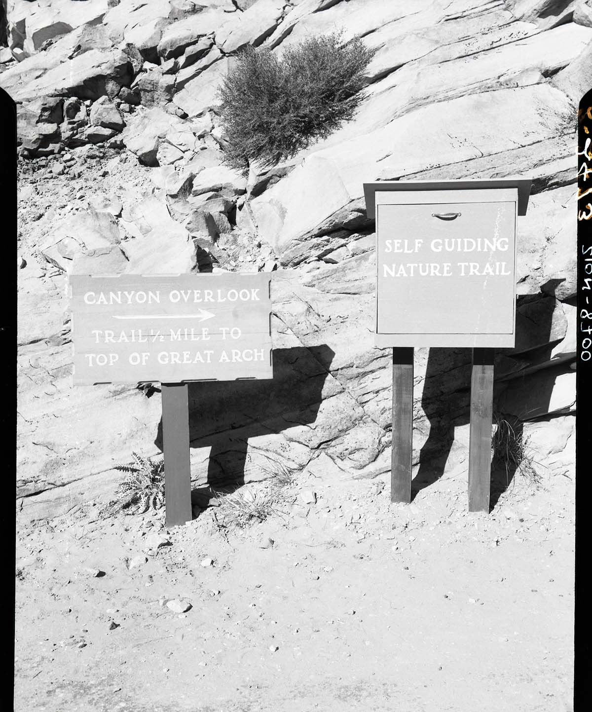 Leaflet box for self-guiding nature trail, Canyon Overlook.
