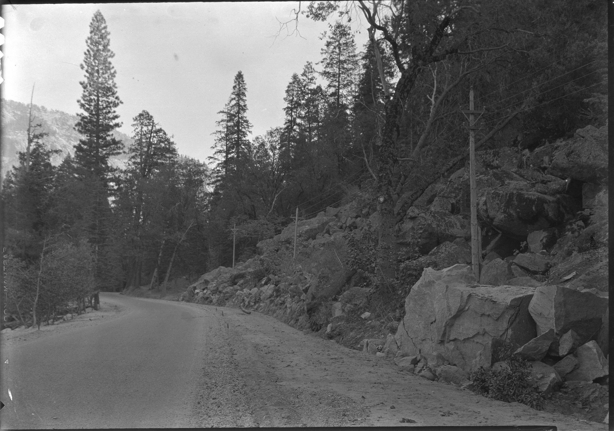 Telephone Poles along Curry Road
