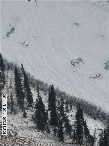 2 Yukon-Charley Rivers National Preserve Wolf Capture 2003