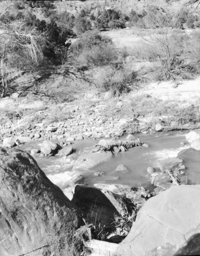Area of proposed diversion dam on the east side, Virgin River.