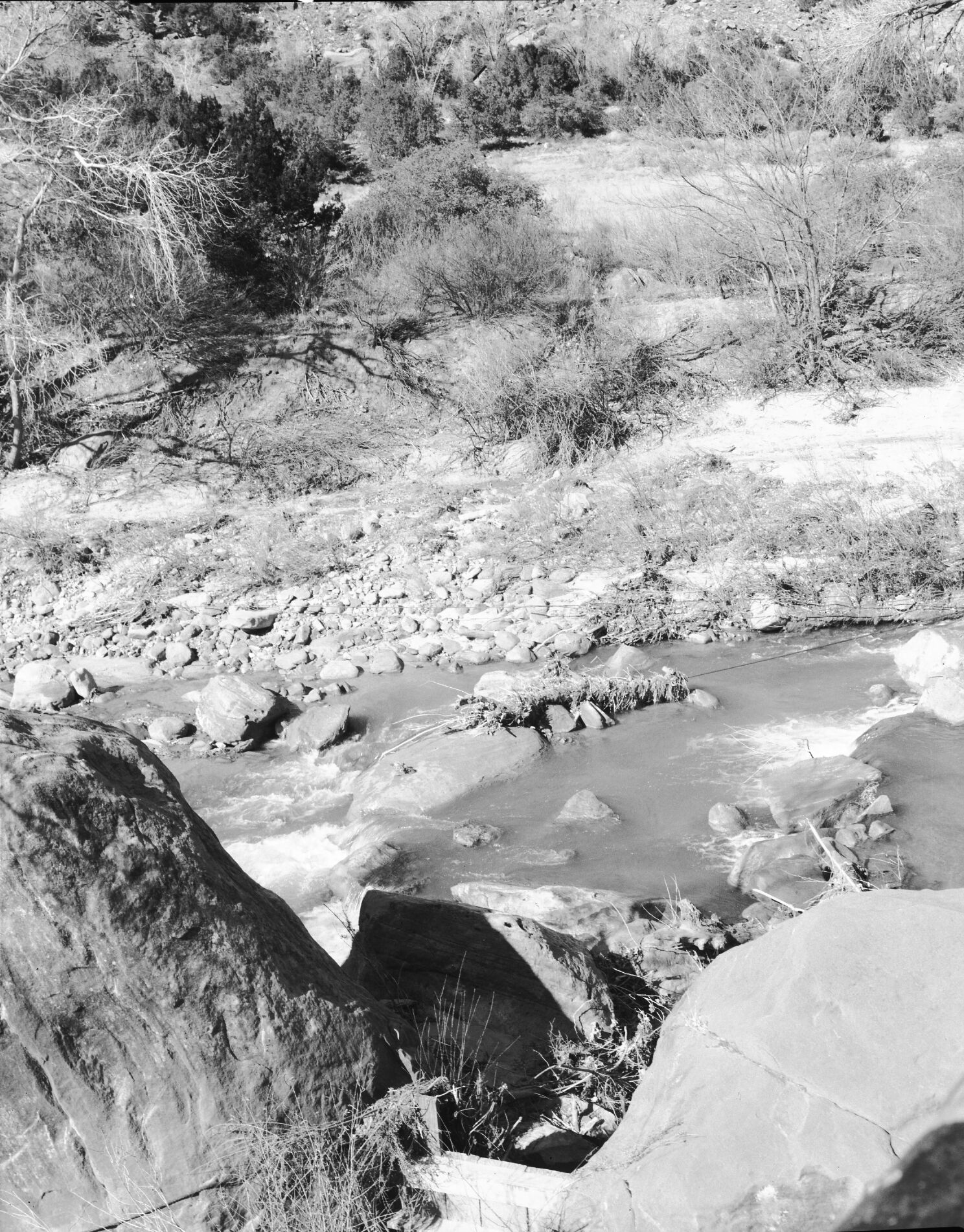 Area of proposed diversion dam on the east side, Virgin River.