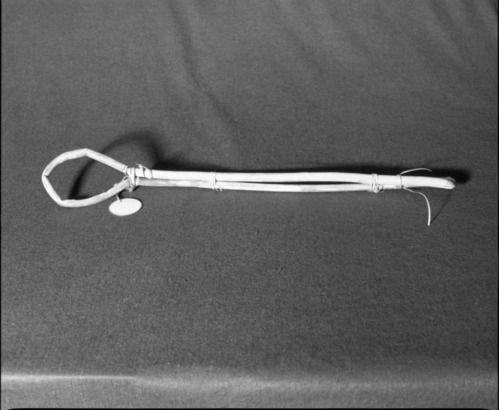 Marie Rozier Collection, Catalog No. 7. Object: Paiute stirring stick. Dimensions: 24". Materials: willow, split willow ties. Technology: --- Collection History: Bought in Bridgeport in 1950s. Photographed by Michael Dixon, Dec. 1982. Catalogued by Craig Bates and Barbara Beroza. Yosemite Collections, National Park Service.