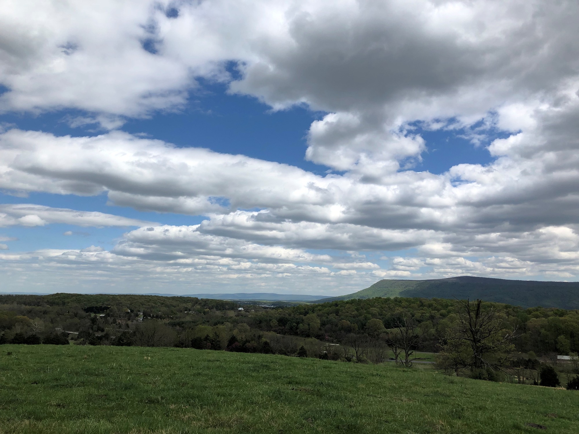 A sweeping valley landscape with rolling ridges, woodlots, and mountain peaks underneath a cloudy sky. 