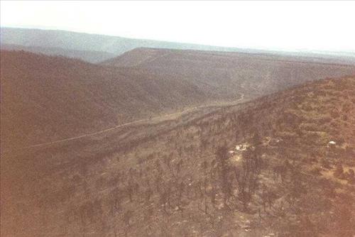 Burned areas immediately following the Bircher fire, Mesa Verde National Park, July 2000