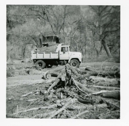BW photo of the removal of debris from cleaning and/ or pruning.