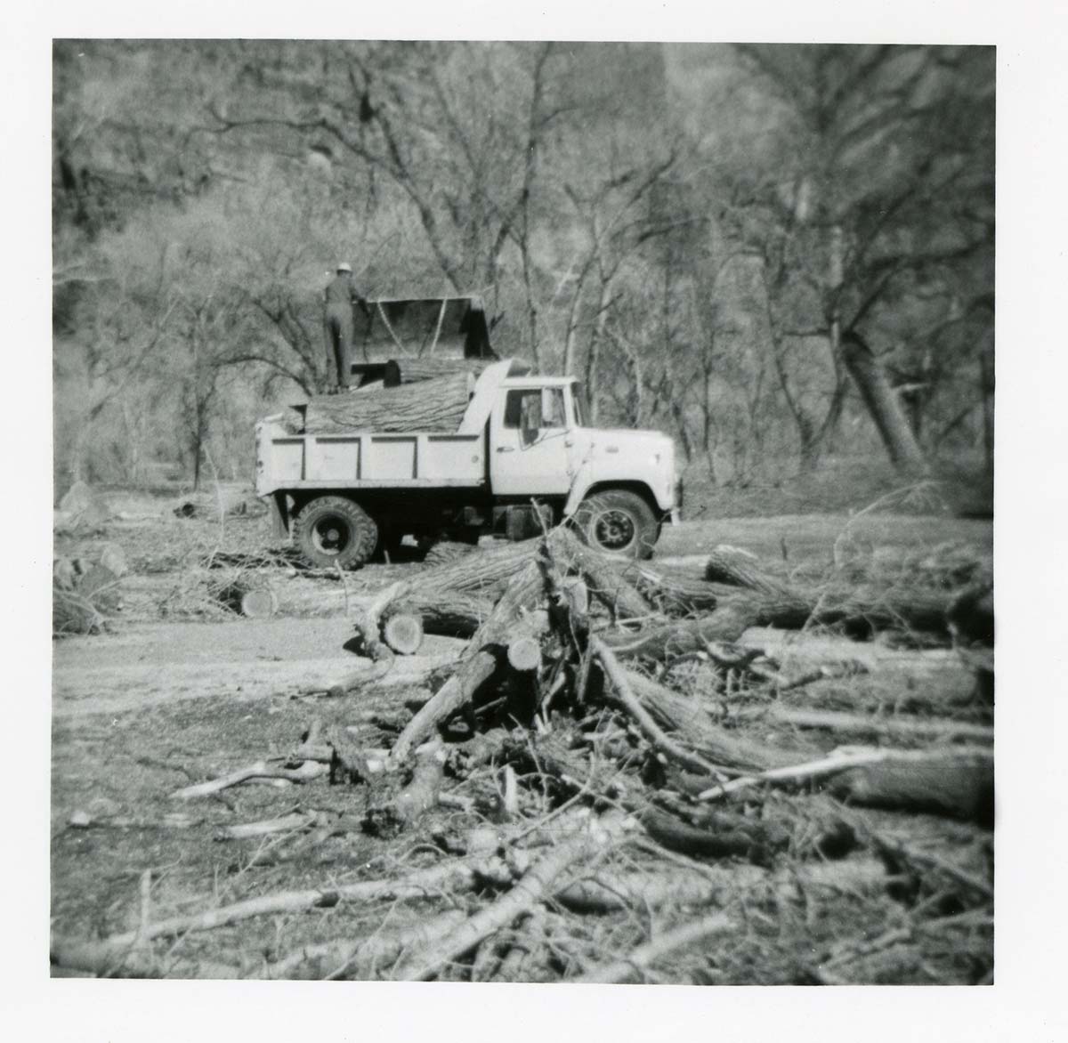 BW photo of the removal of debris from cleaning and/ or pruning.