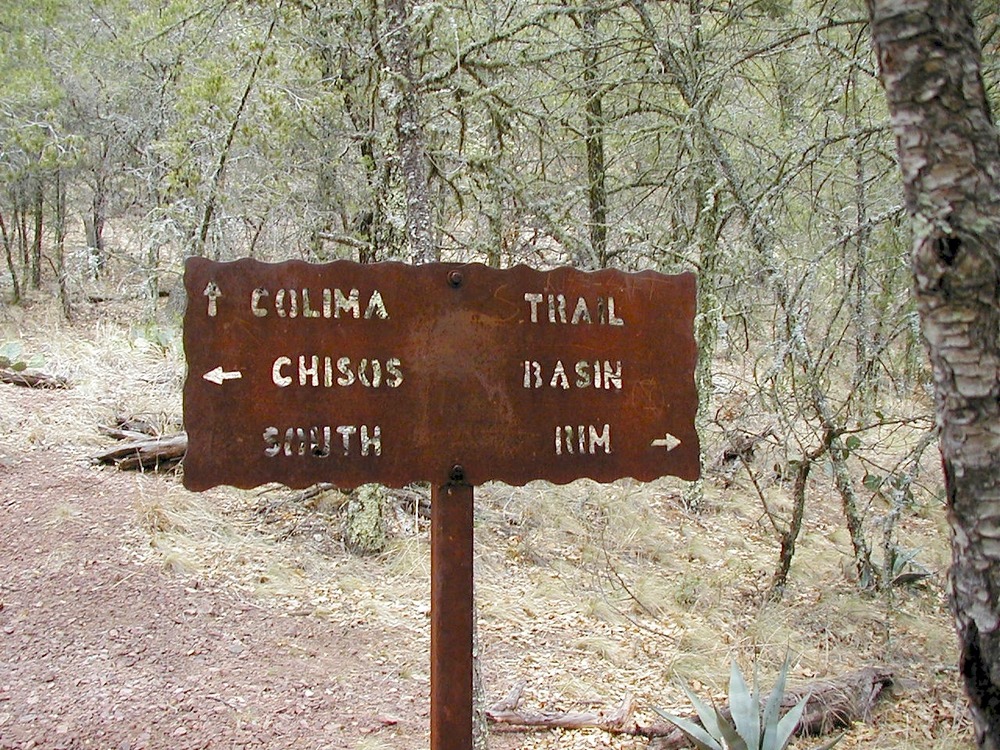 Colima Trail junction