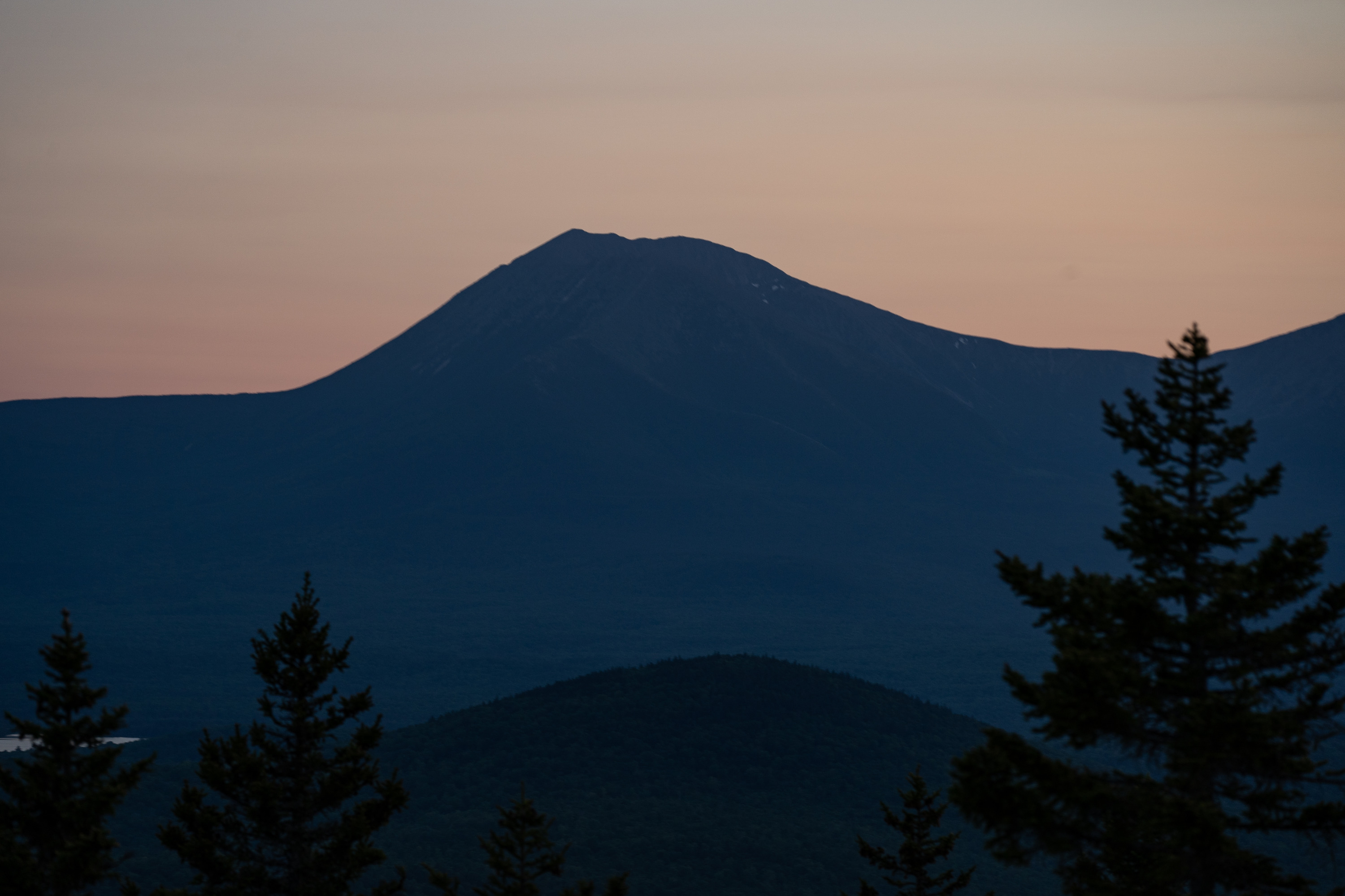 A mountain in shadow behind tree tops.