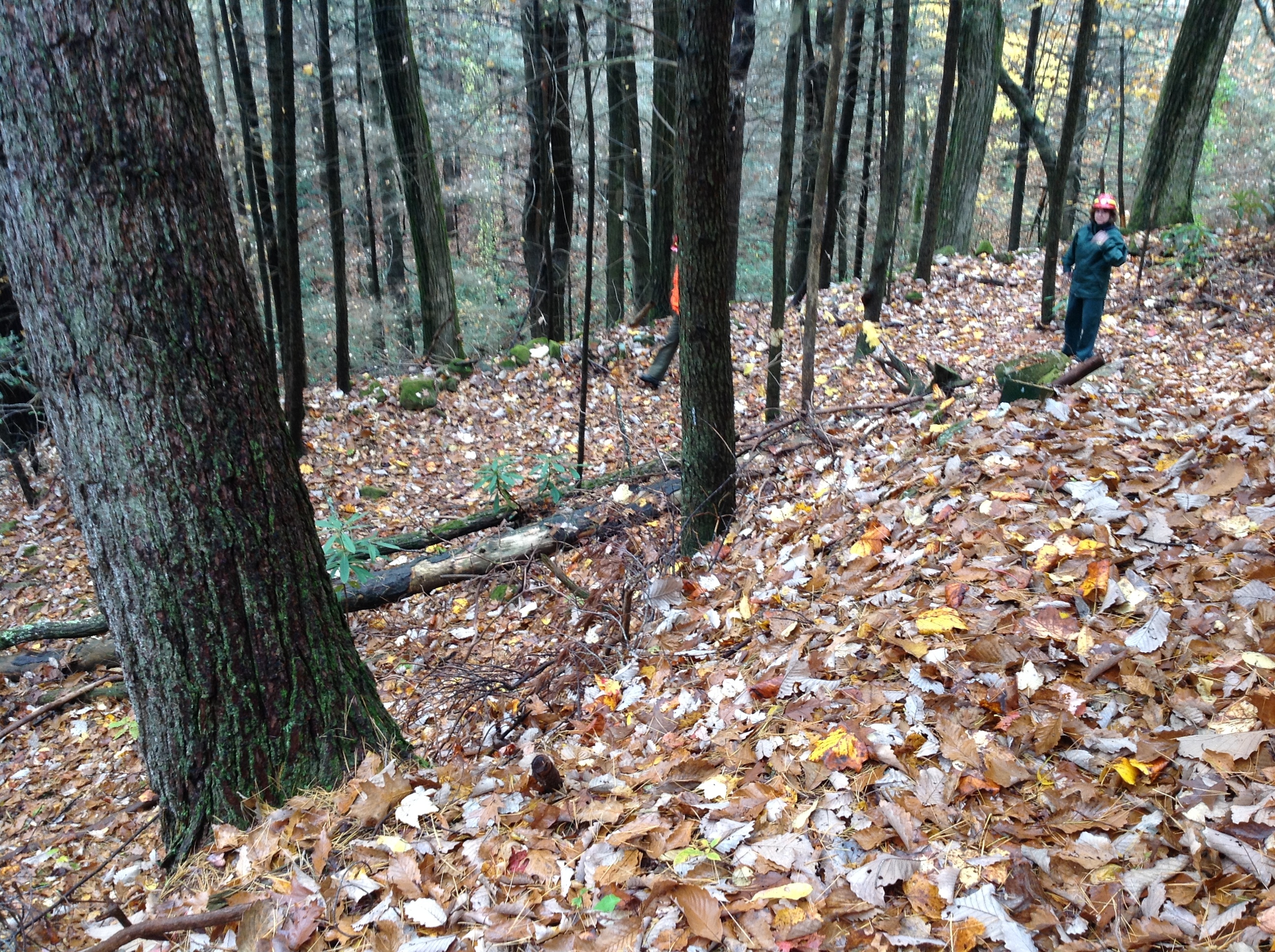NTIR Staff walking the Unicoi Turnpike Trail at the Cherokee National Forest in Tennessee - on a wet autumn day
