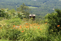 View of Chickamauga and Chattahoochee National Military Park