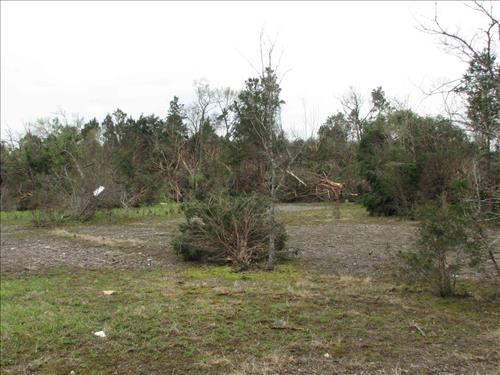 Photos taken in the aftermath of April 10, 2009, tornado at Stones River National Battlefield