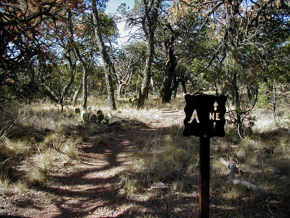 Sign and spur trail to NE1