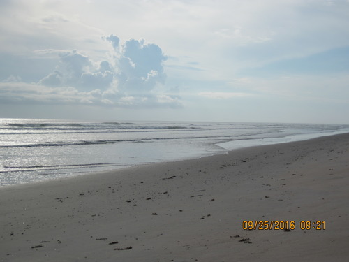 An example of fall shoreline mapping at Canaveral National Seashore