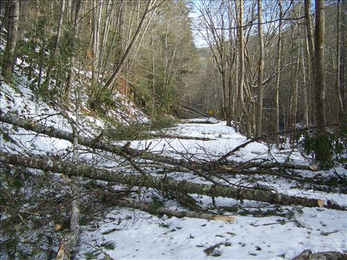 December 24, 2009 Wind/Rain Storm Damage