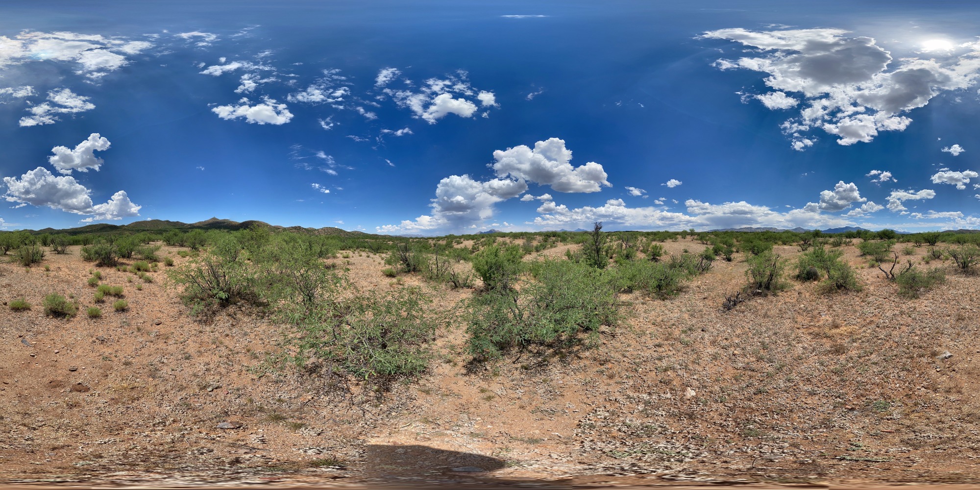 360 spherical panoramic photo depicting mesquite and creosote brush in foreground, with mountains in the distance