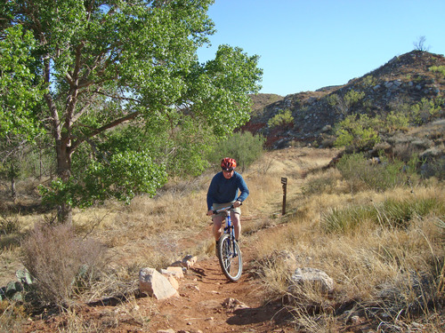 Man on a mountain bike makes his way down a dirt path in a landscape of grasses, shrubland and hills. 