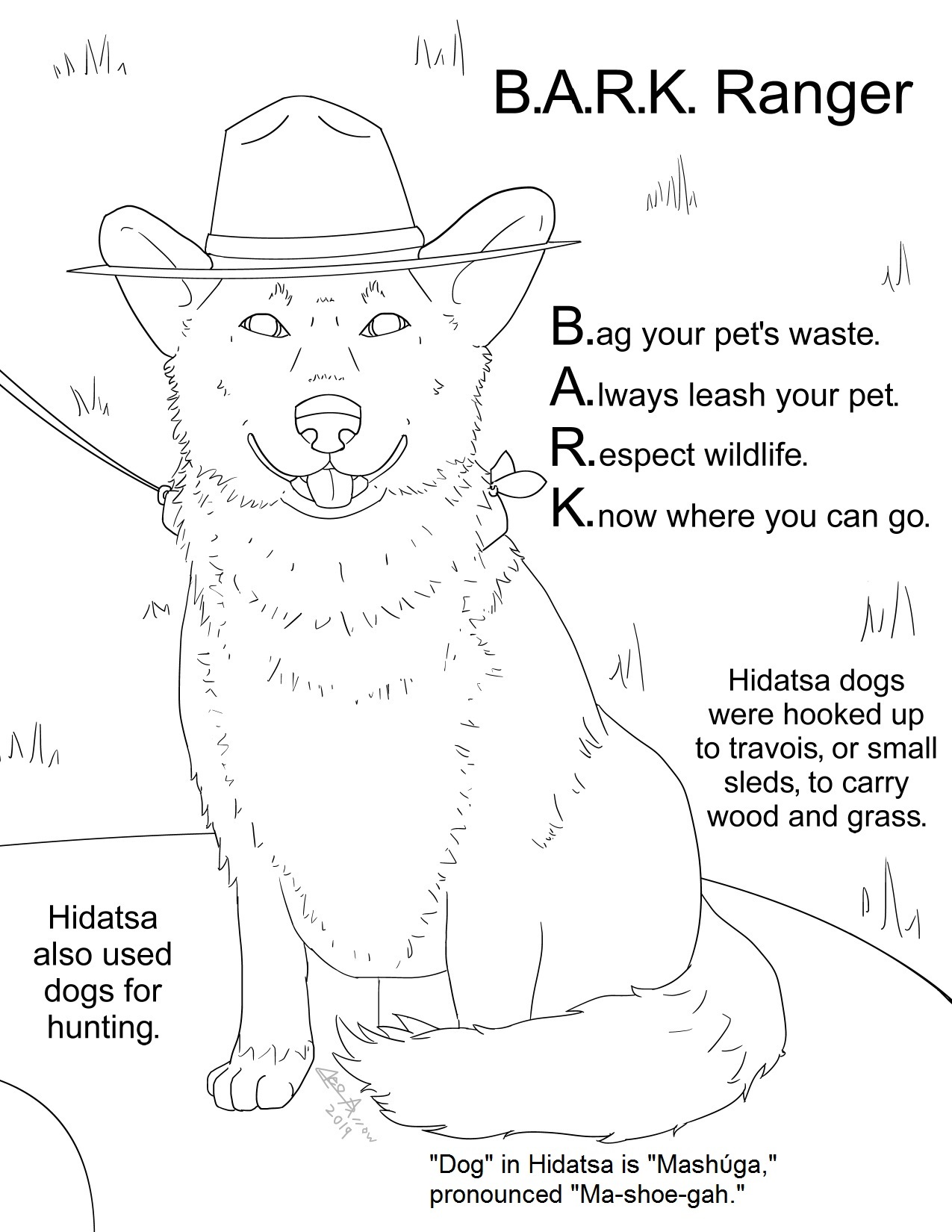 A coloring page of a dog in a ranger hat with BARK Ranger instructions and facts about Hidatsa Dogs including the word "dog" in Hidatsa and the tribe's uses for dogs.