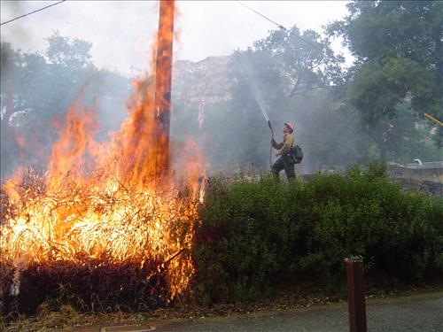 Prescribed burn using drip torch ignition at Ash Mountain Headquarters, Sequoia and Kings Canyon National Parks, May 2004