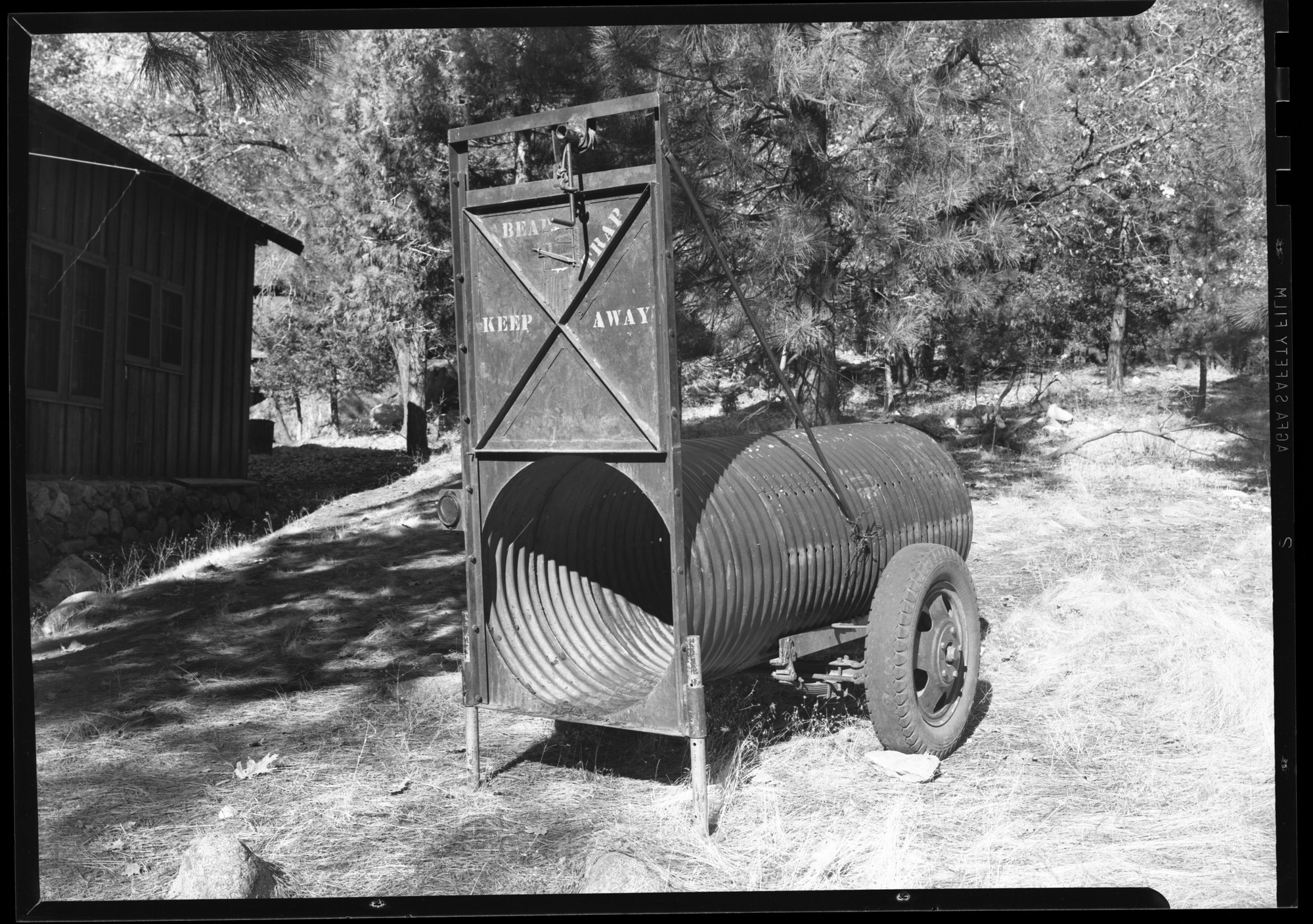 Bear trap set at hospital