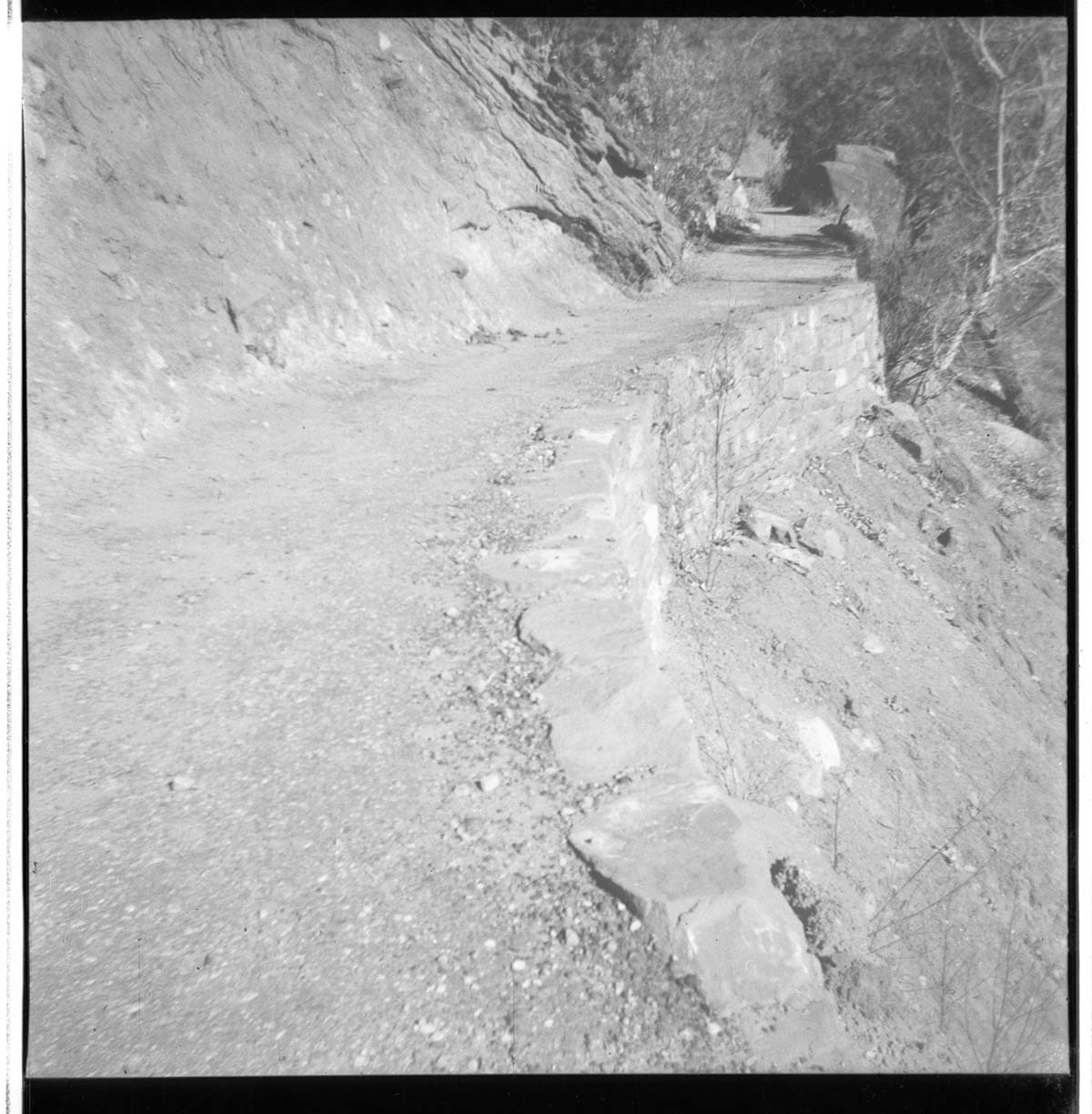 General view of the East Rim trail.
