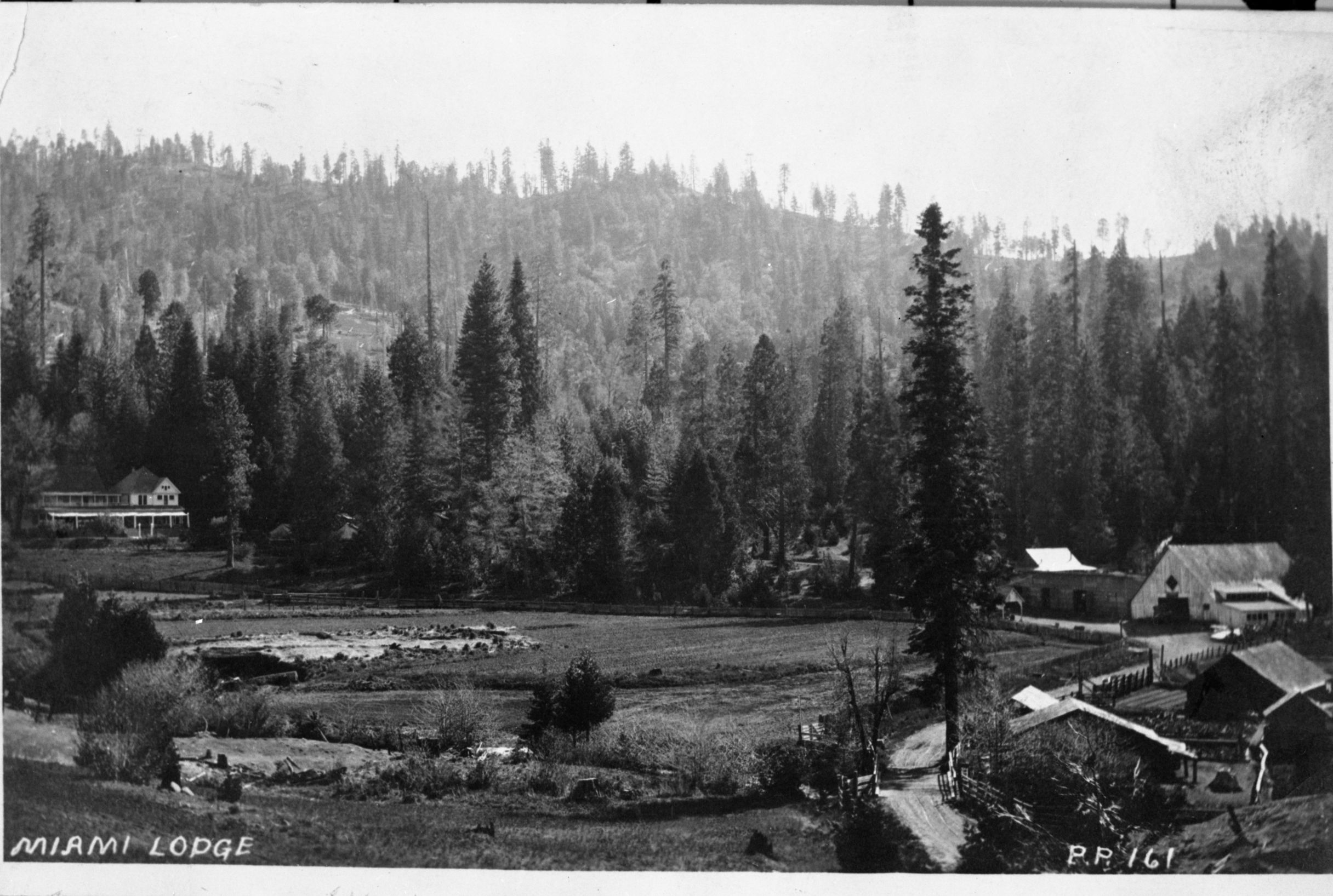 Miami Lodge. Copied courtesy of the Shirley Sargent collection. copied by Michael Dixon, copied 1982