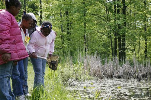 CVEEC Girl Scouts pond exploration 2