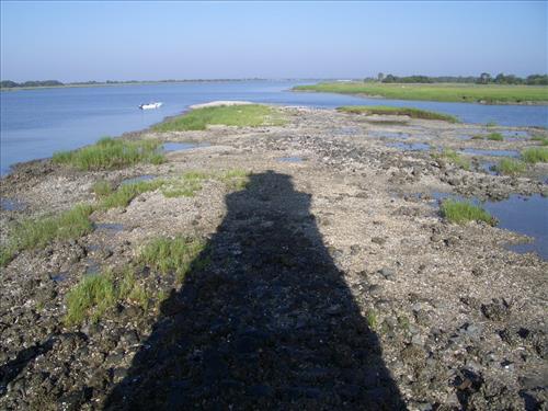 Cockspur Island Lighthouse during low-tide at Fort Pulaski National Monument in June 2007