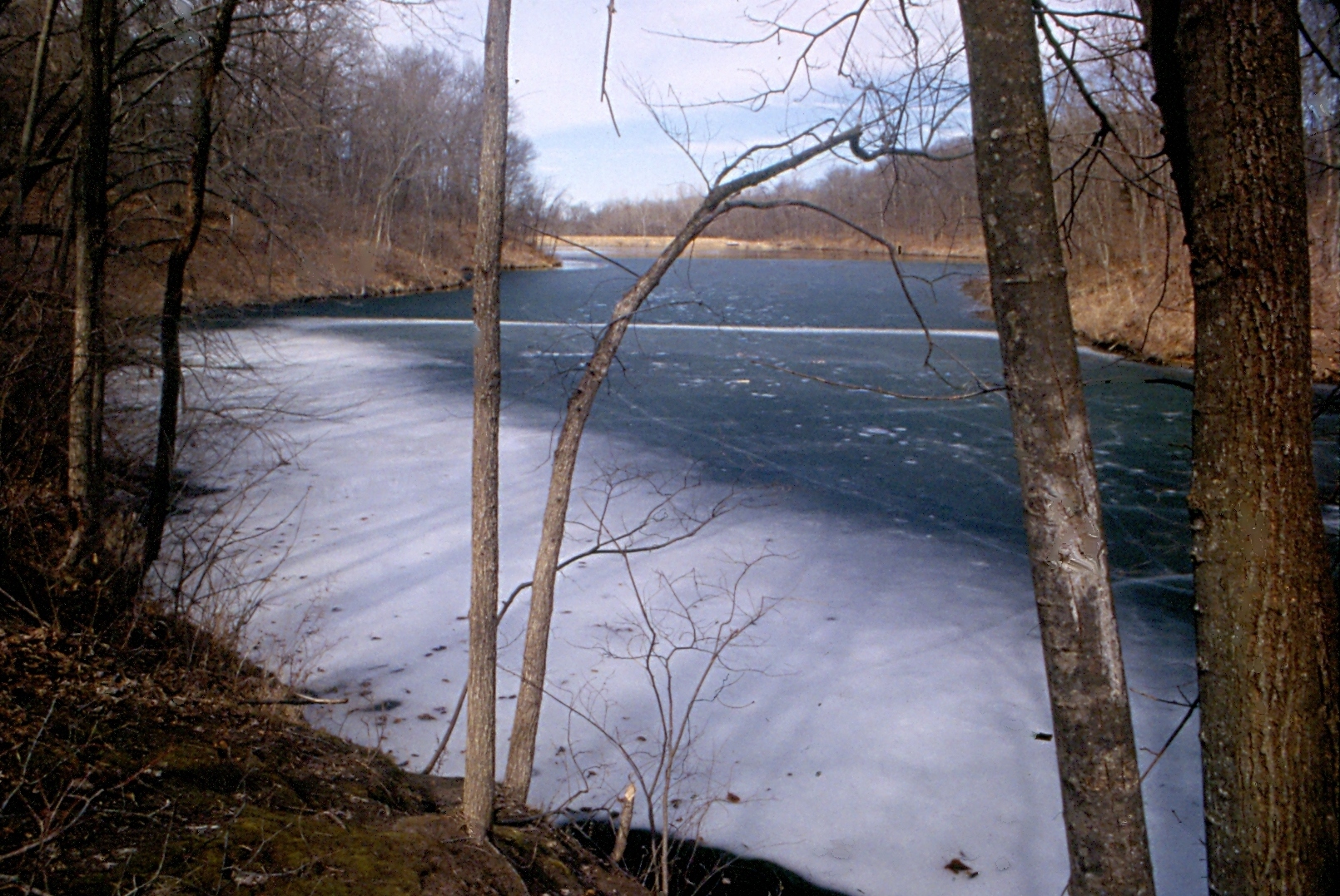 Image of a partially frozen body of water in a wooded area.