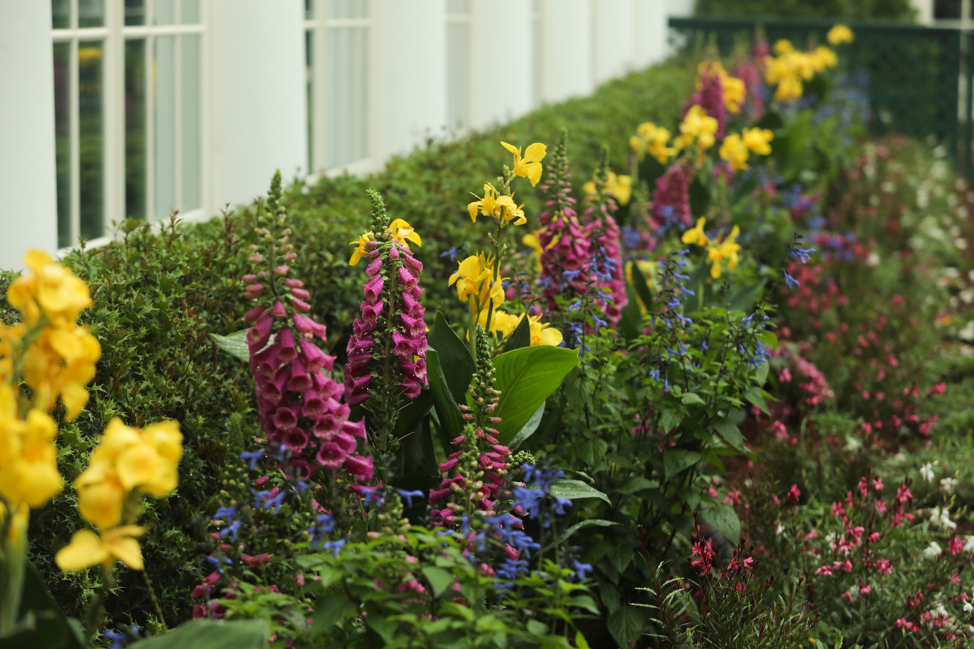 Flowers bloom in the Jacqueline Kennedy Garden