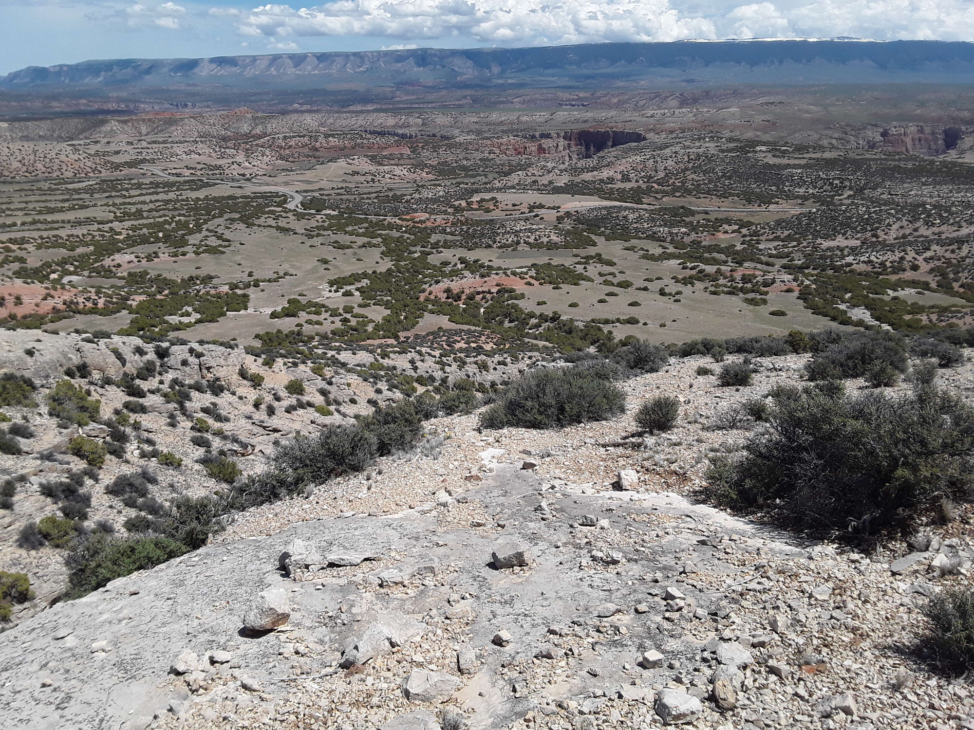 Image of the vegetation and landscape at photo point in Bighorn Canyon NRA 